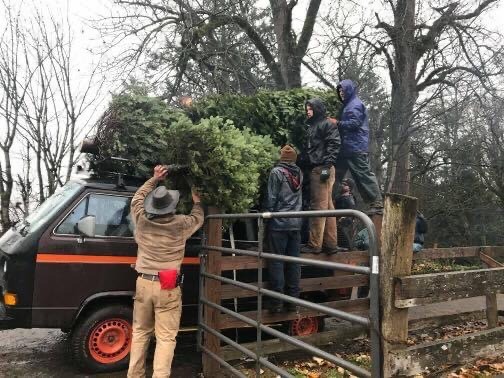 Loading Christmas tree onto customer's vehicle
